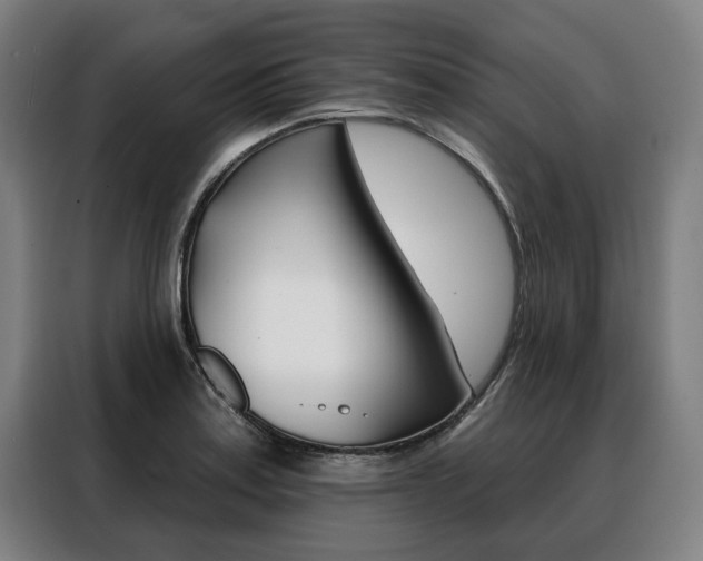 X0000088471179200705220934