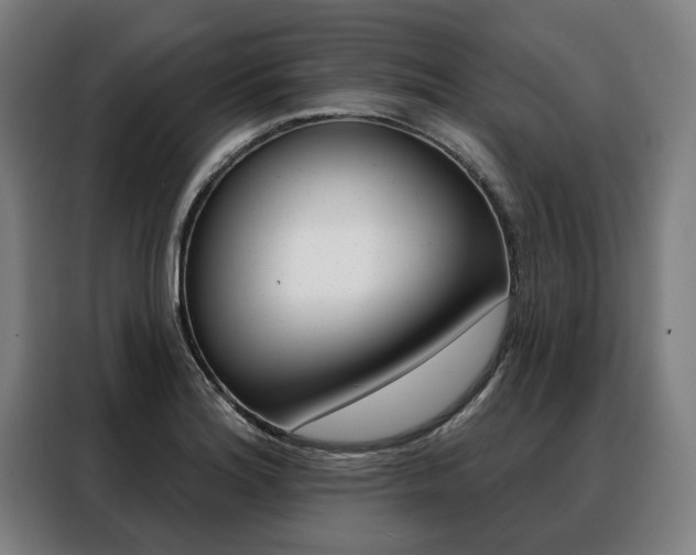 X0000088471180200705220934