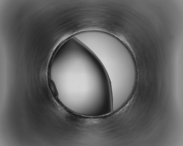 X0000088471181200705220934