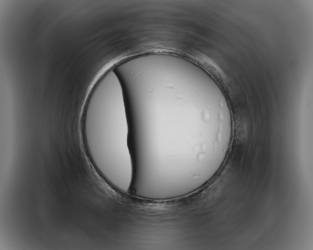 X0000088471182200705220934