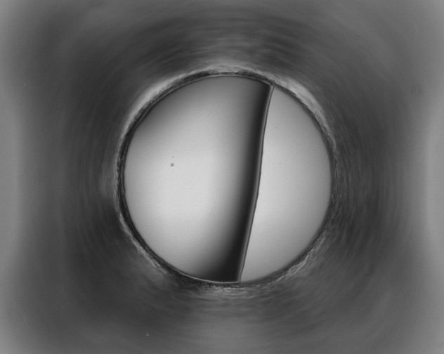 X0000088471183200705220934