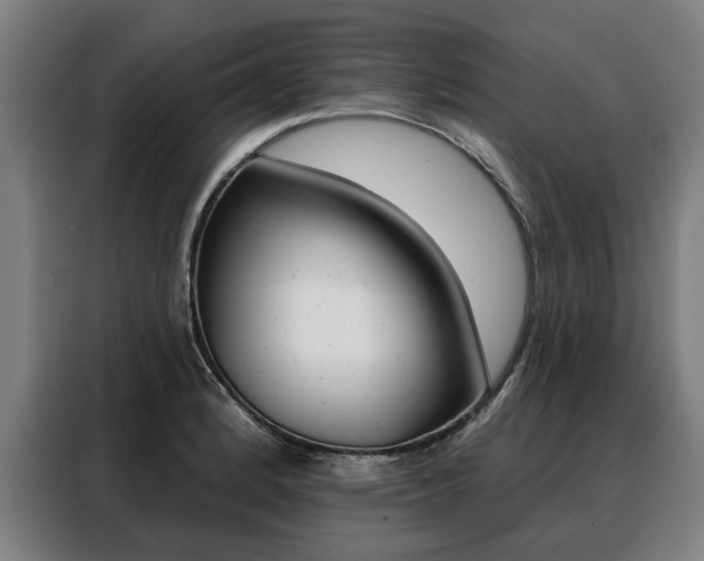 X0000088471184200705220934