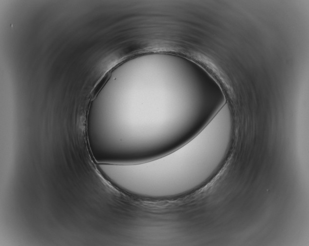 X0000088471185200705220934