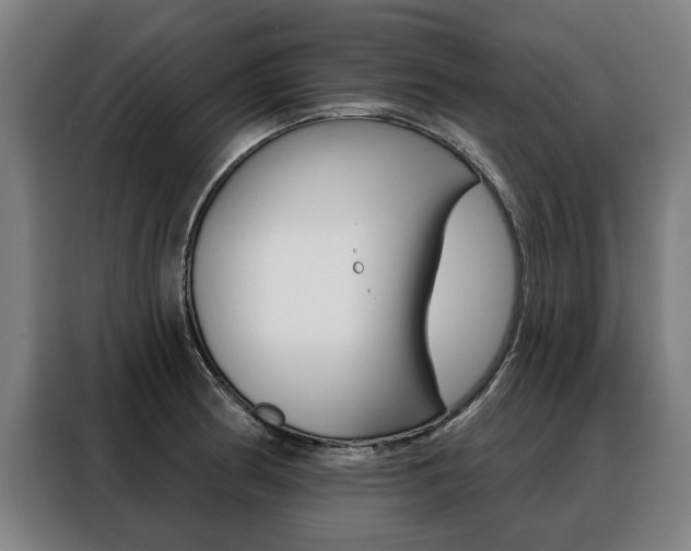 X0000088471186200705220934