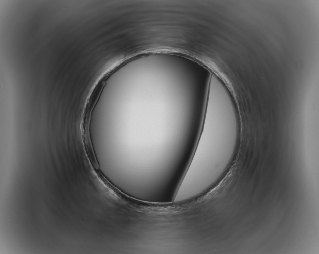 X0000088471189200705220934