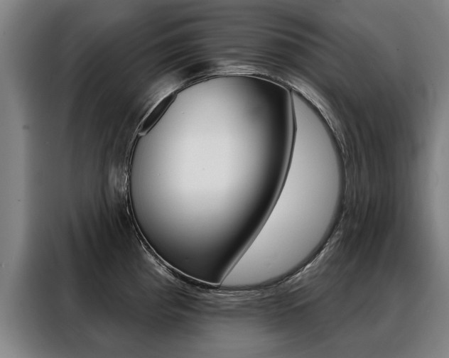 X0000088471193200705220934