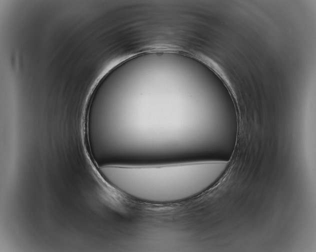 X0000088471195200705220934