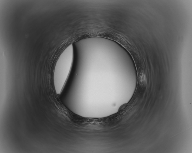 X0000088471204200705220933