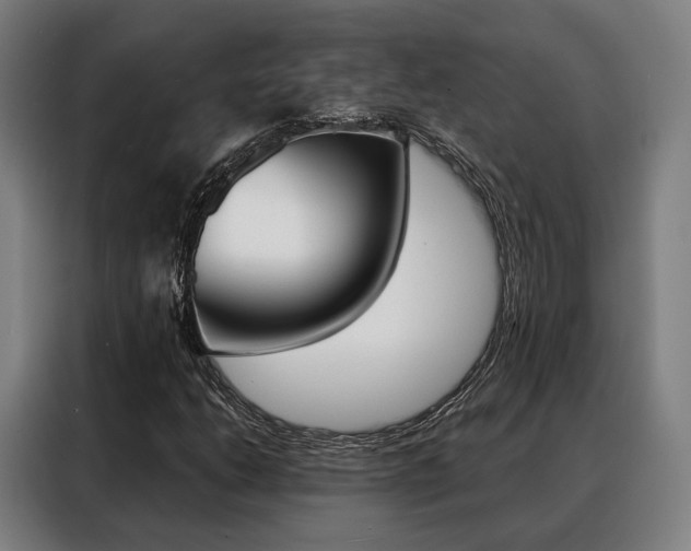 X0000088471206200705220933