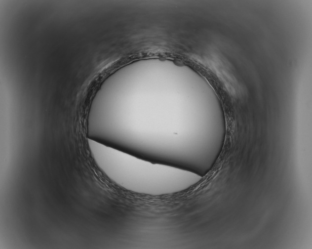 X0000088471207200705220933