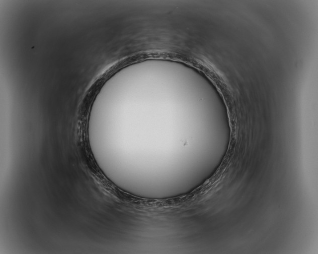 X0000088471208200705220933