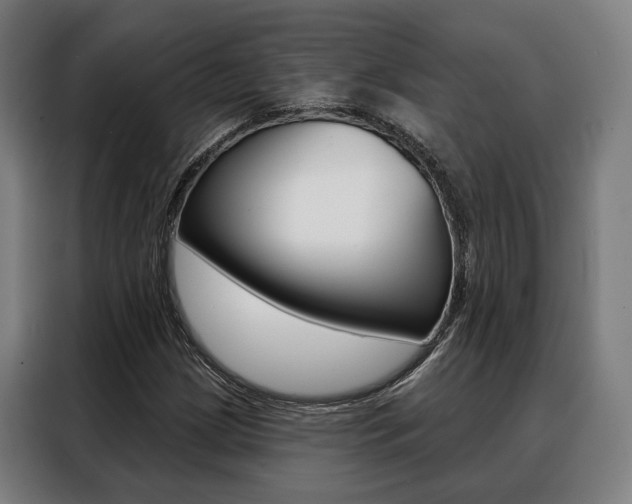 X0000088471209200705220933