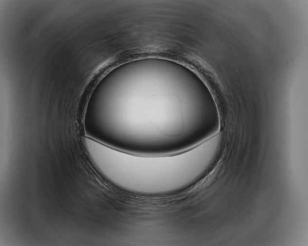 X0000088471210200705220933