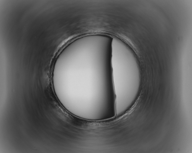 X0000088471212200705220933