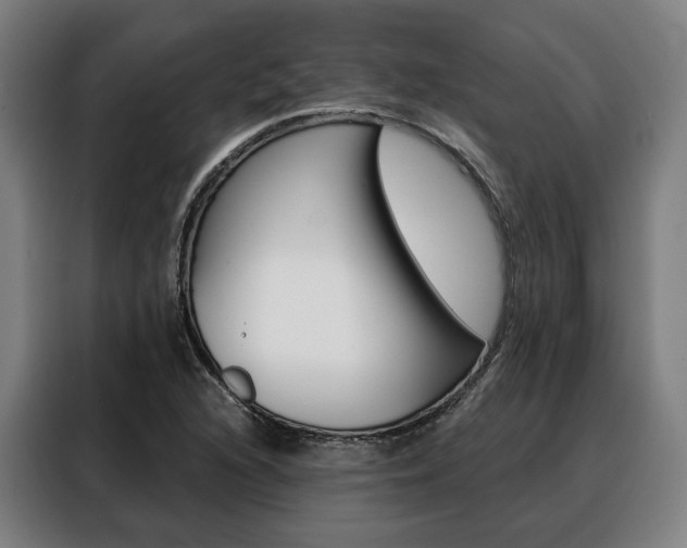 X0000088471216200705220933