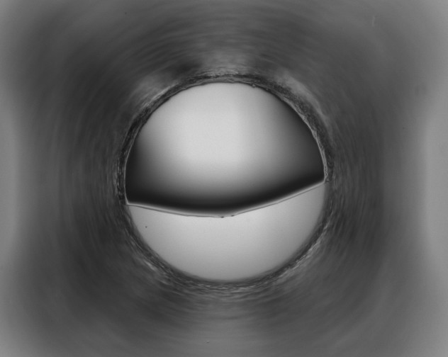 X0000088471217200705220933