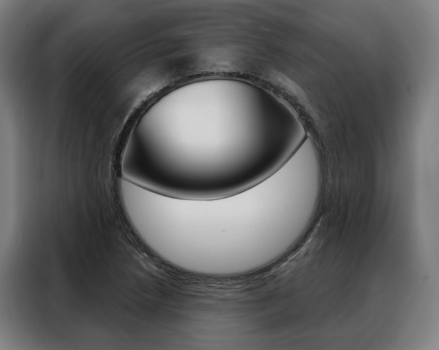 X0000088471218200705220933