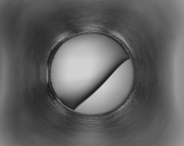 X0000088471219200705220933