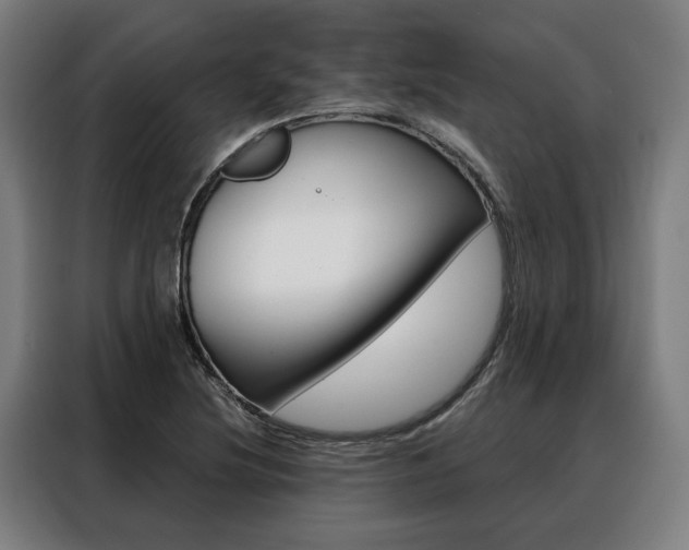 X0000088471220200705220933