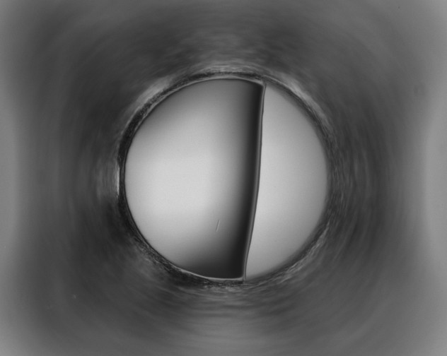 X0000088471221200705220933