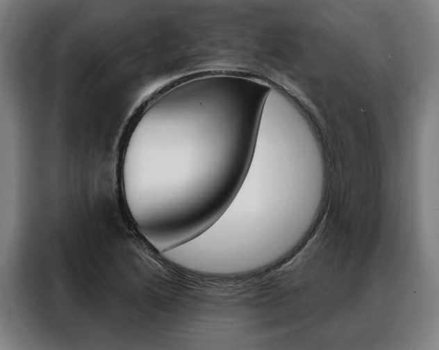 X0000088471222200705220933