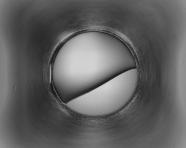 X0000088471223200705220933