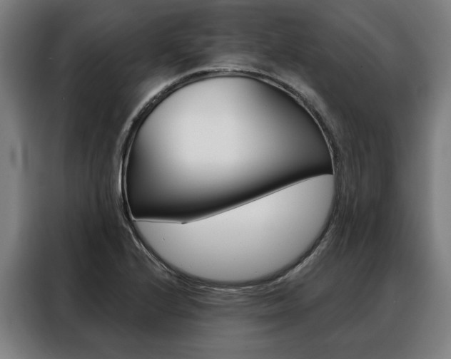 X0000088471224200705220933