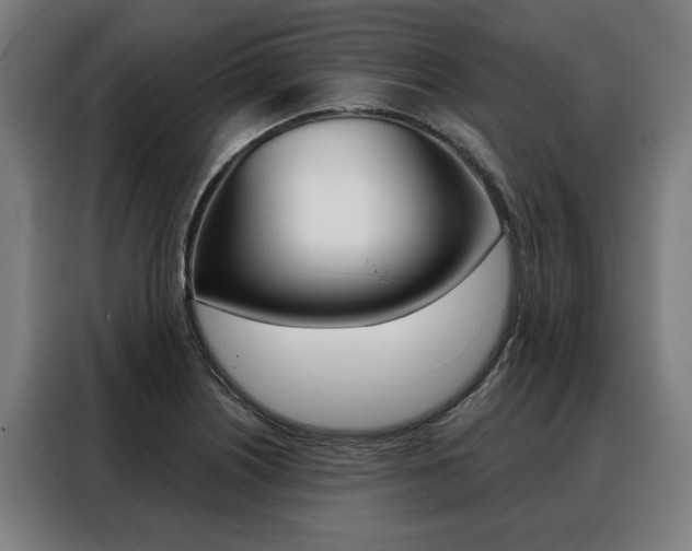 X0000088471226200705220933