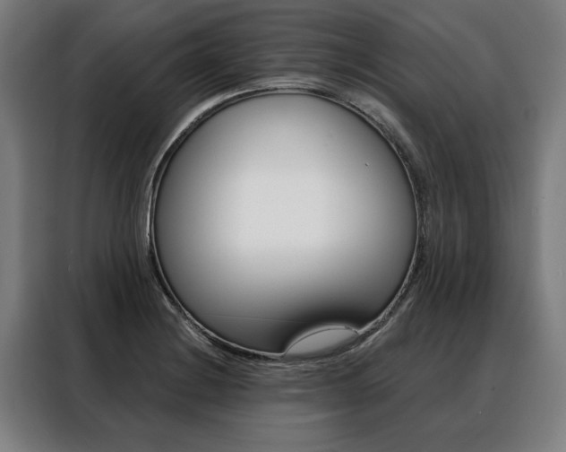 X0000088471228200705220933