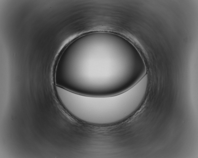 X0000088471230200705220933