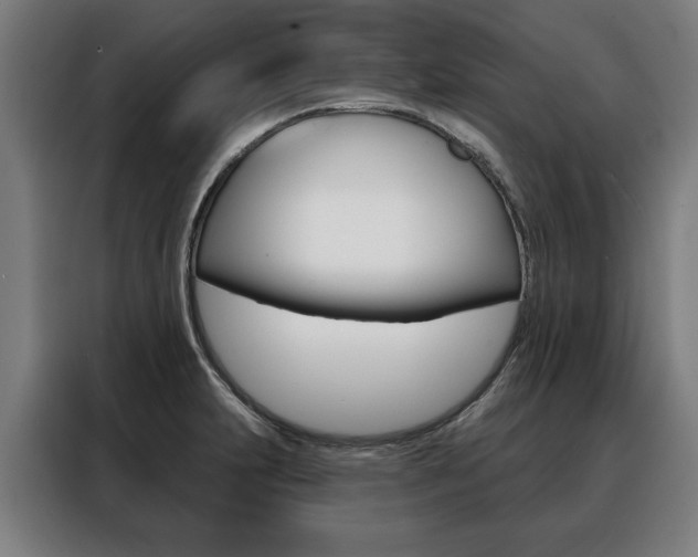 X0000088471231200705220933
