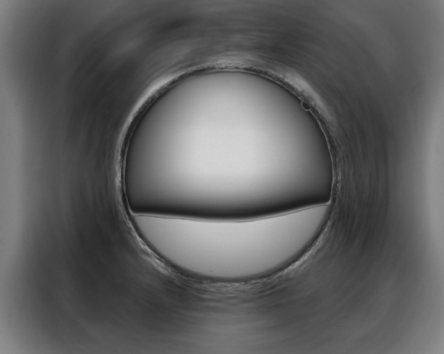 X0000088471232200705220933