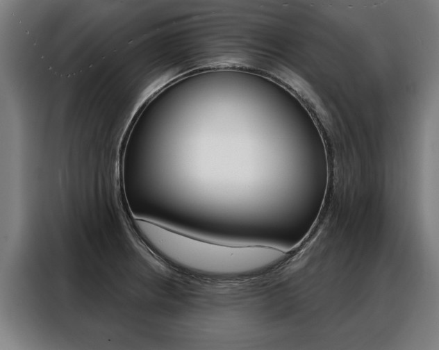 X0000088471234200705220933