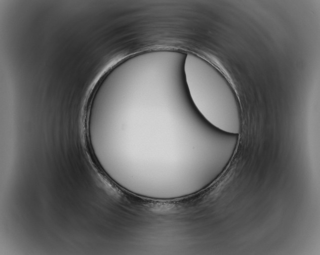 X0000088471235200705220933