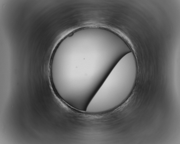 X0000088471239200705220933
