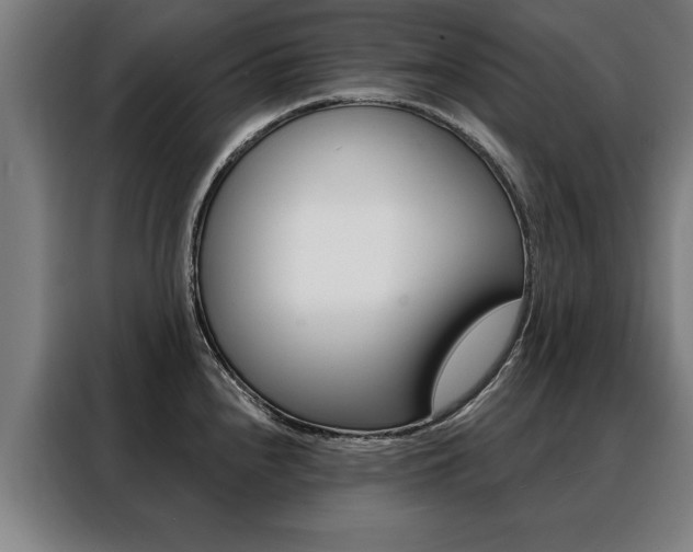 X0000088471240200705220934