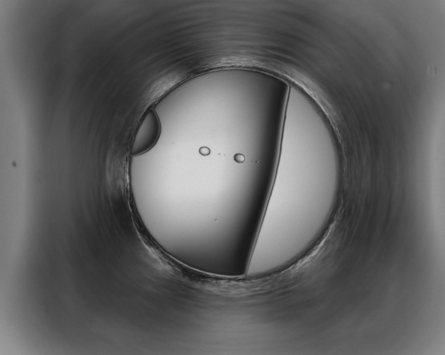 X0000088471241200705220934