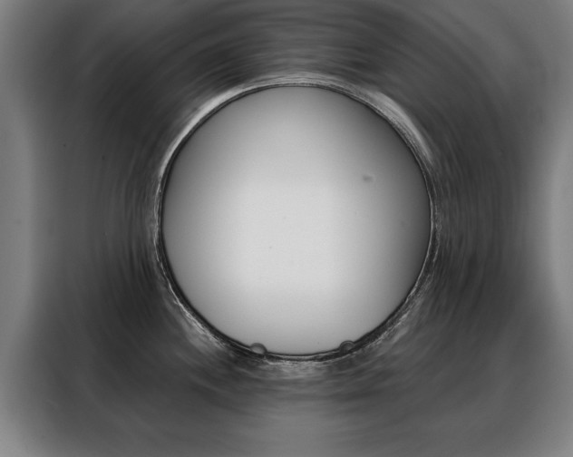 X0000088471244200705220934