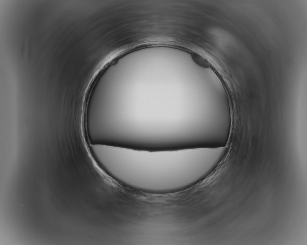X0000088471245200705220934
