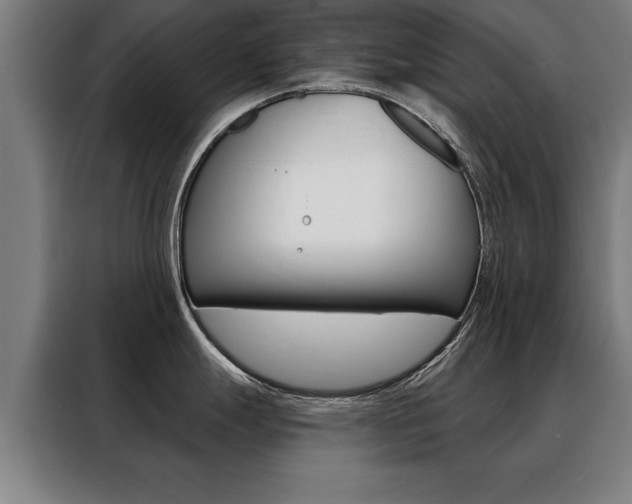 X0000088471247200705220934