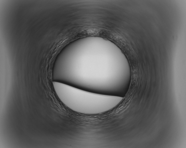 X0000088471249200705220933