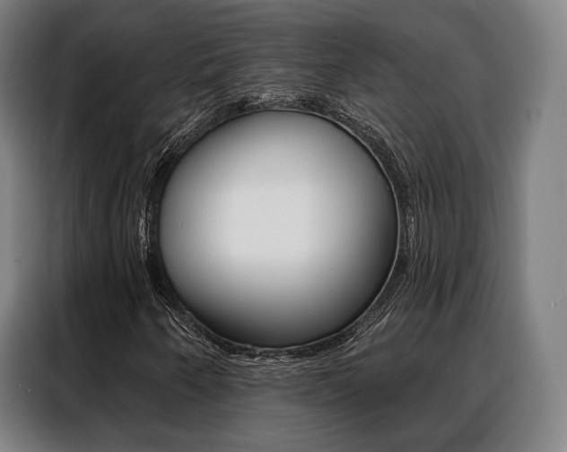 X0000088471250200705220933