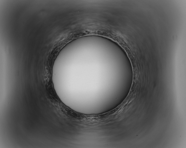X0000088471253200705220933