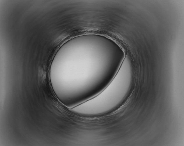 X0000088471257200705220933