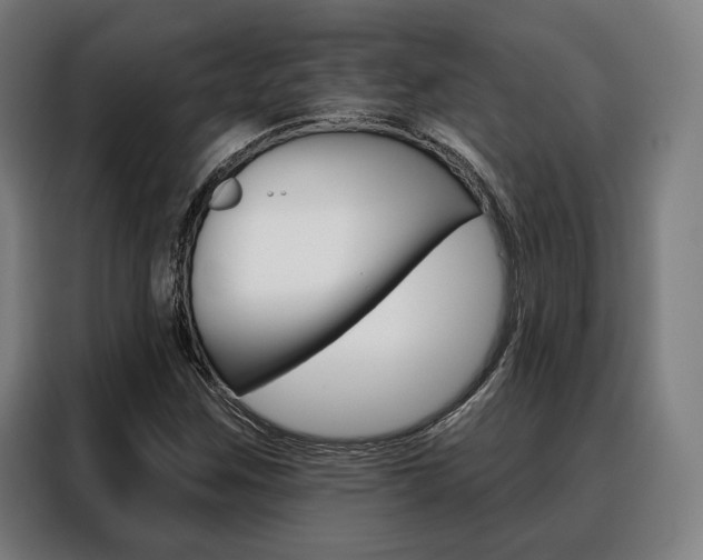 X0000088471259200705220933