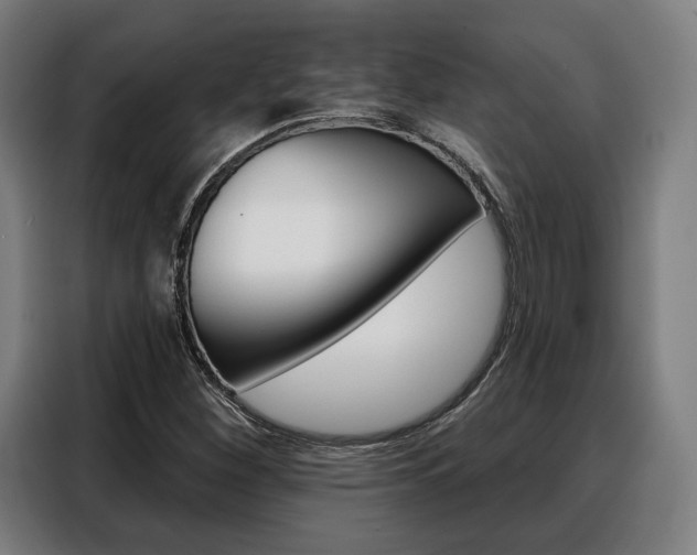 X0000088471260200705220933