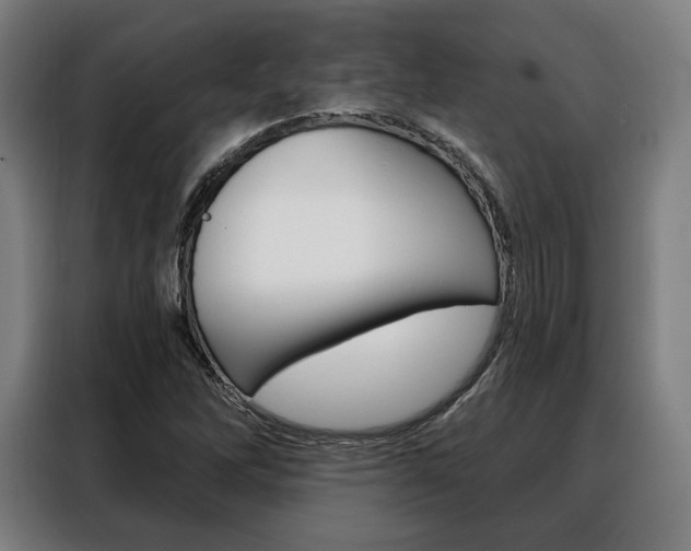 X0000088471262200705220933