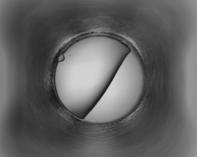 X0000088471263200705220933