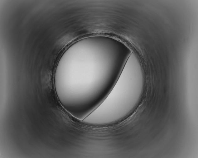 X0000088471265200705220933