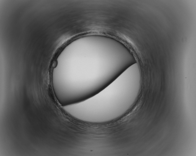 X0000088471267200705220933